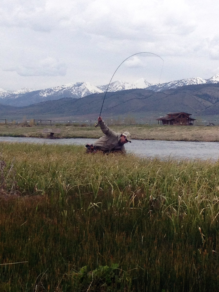 Fly Fishing in Jackson Hole, Wyoming Jackson Hole Anglers